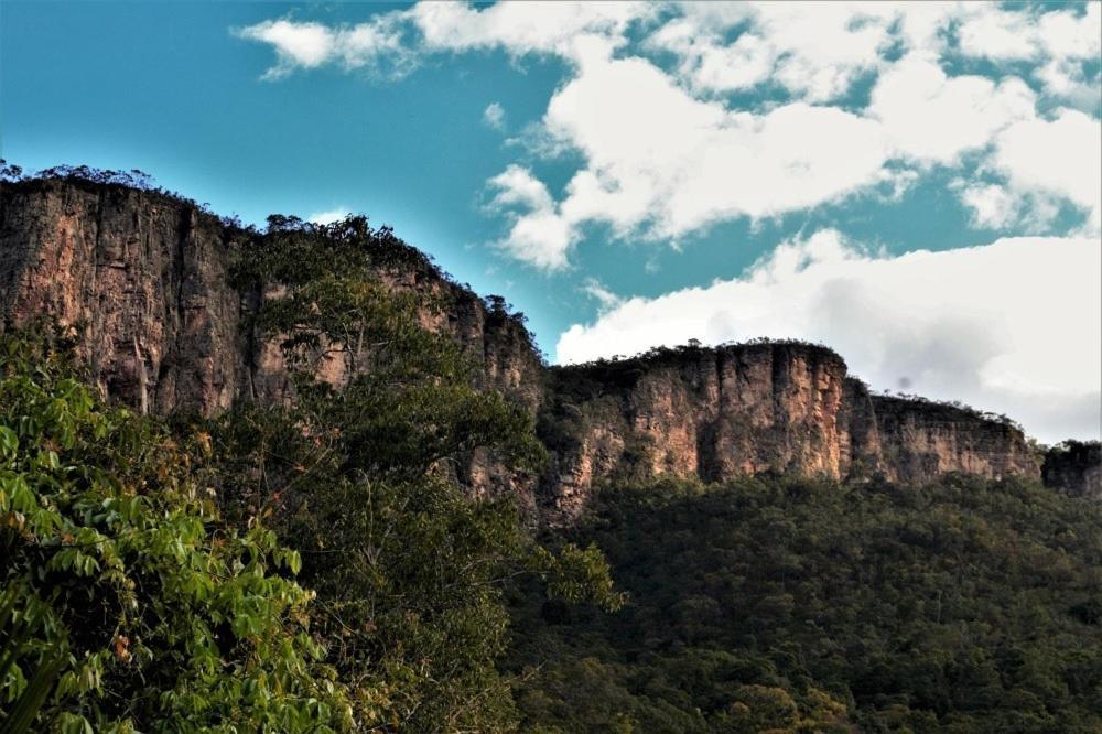 Mariri Jungle Lodge Alto Paraíso de Goiás Dış mekan fotoğraf