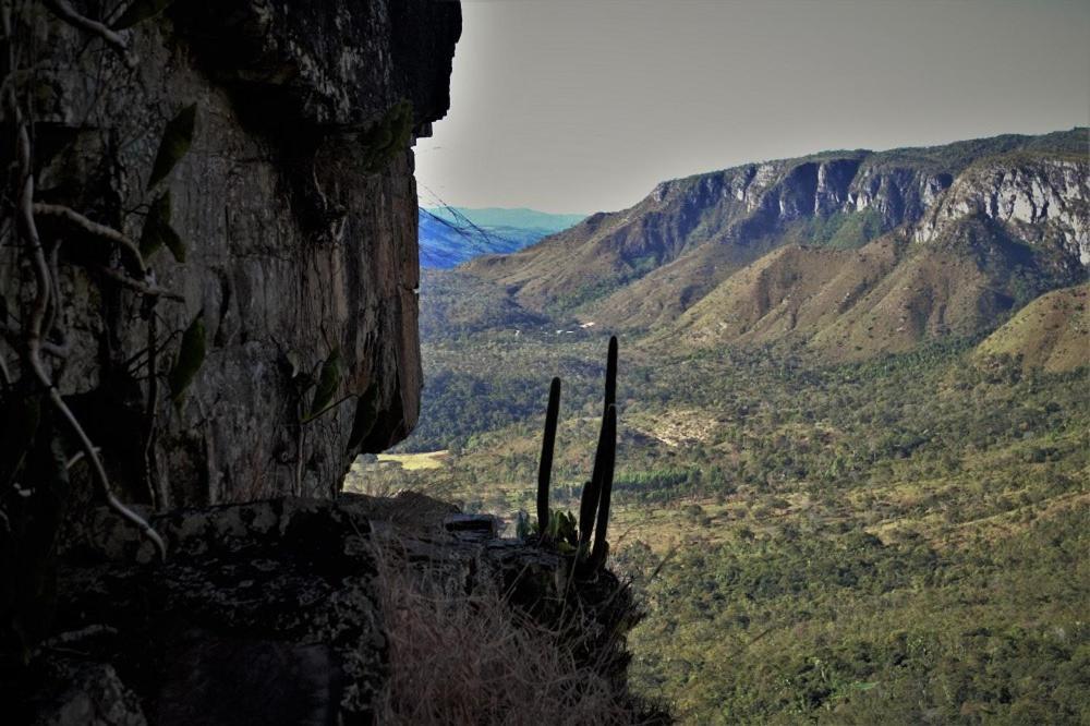 Mariri Jungle Lodge Alto Paraíso de Goiás Dış mekan fotoğraf