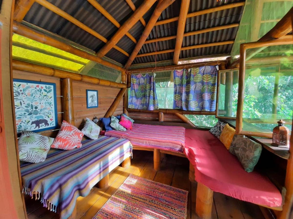 Mariri Jungle Lodge Alto Paraíso de Goiás Dış mekan fotoğraf