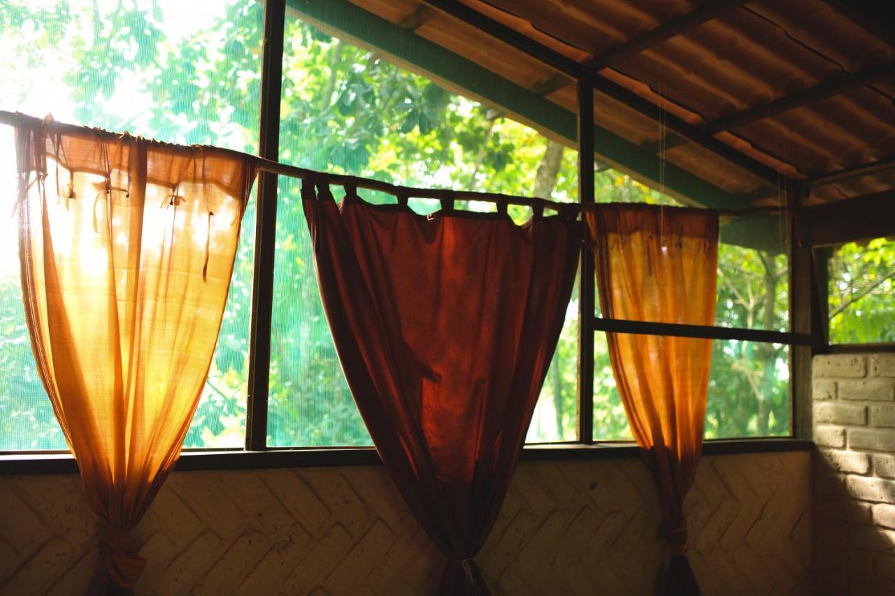 Mariri Jungle Lodge Alto Paraíso de Goiás Dış mekan fotoğraf