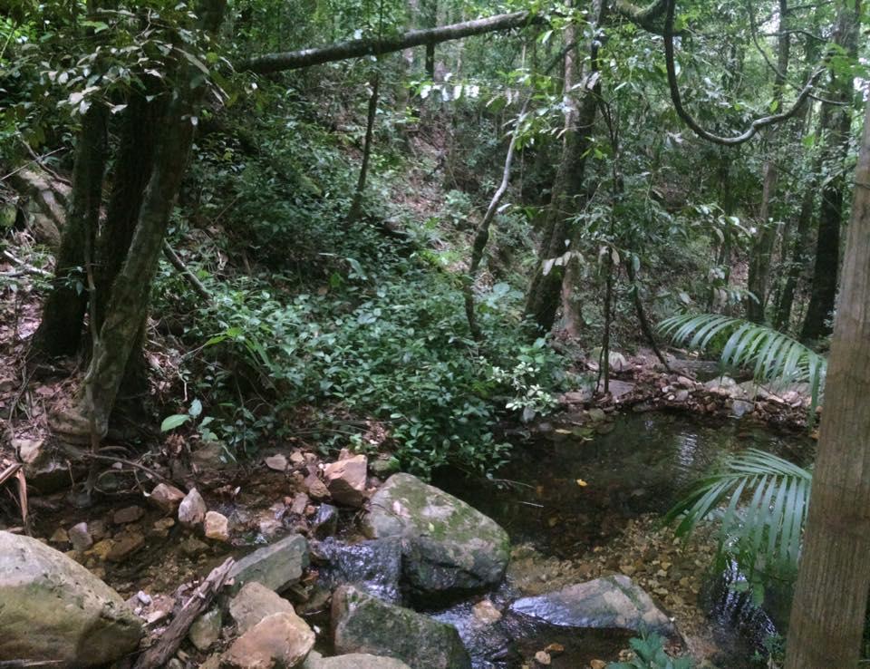 Mariri Jungle Lodge Alto Paraíso de Goiás Dış mekan fotoğraf