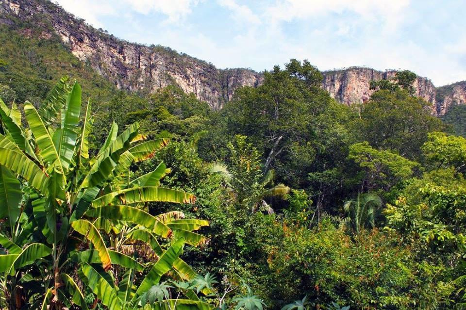 Mariri Jungle Lodge Alto Paraíso de Goiás Dış mekan fotoğraf