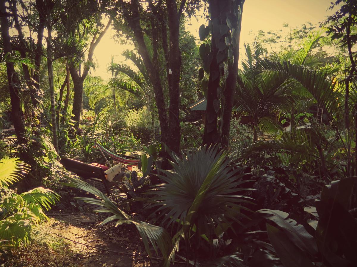 Mariri Jungle Lodge Alto Paraíso de Goiás Dış mekan fotoğraf