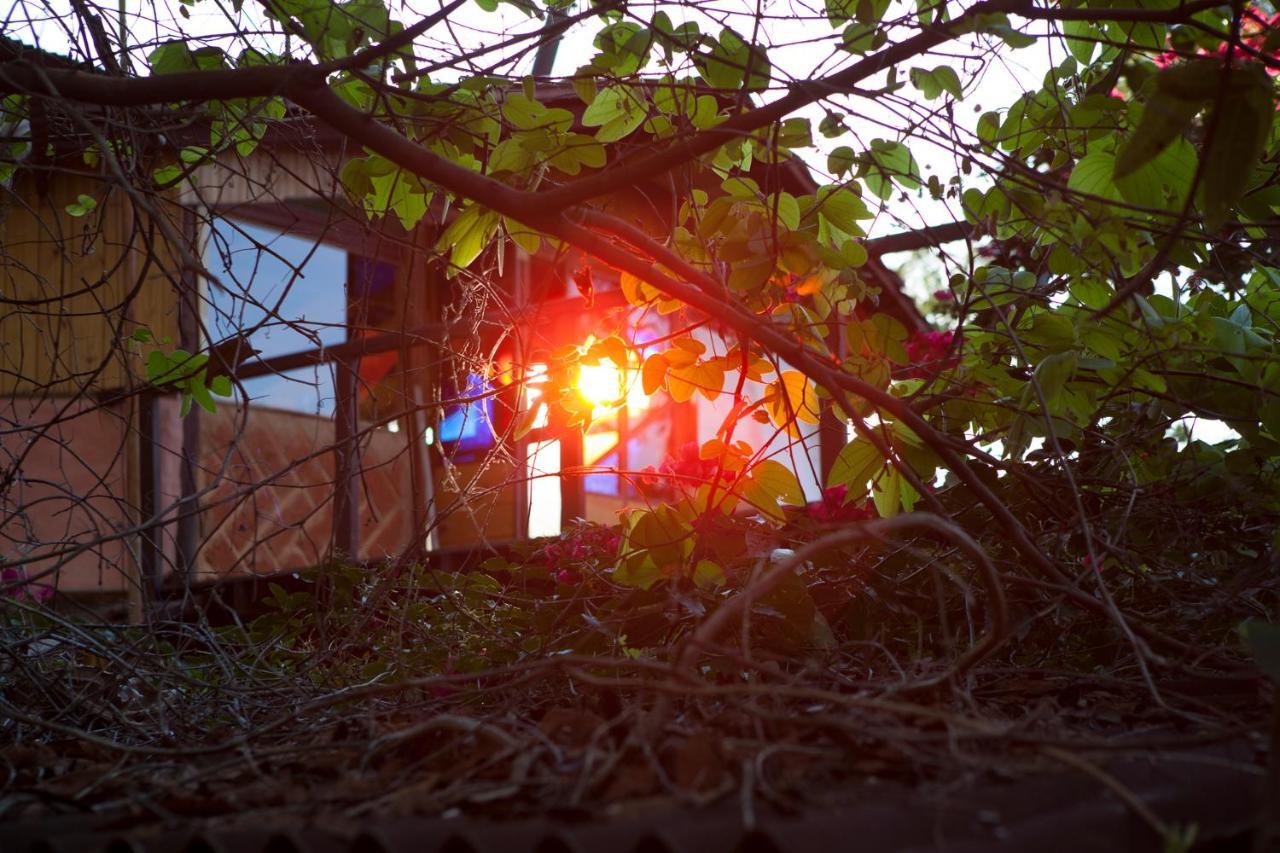 Mariri Jungle Lodge Alto Paraíso de Goiás Dış mekan fotoğraf