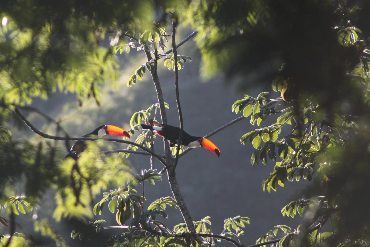 Mariri Jungle Lodge Alto Paraíso de Goiás Dış mekan fotoğraf