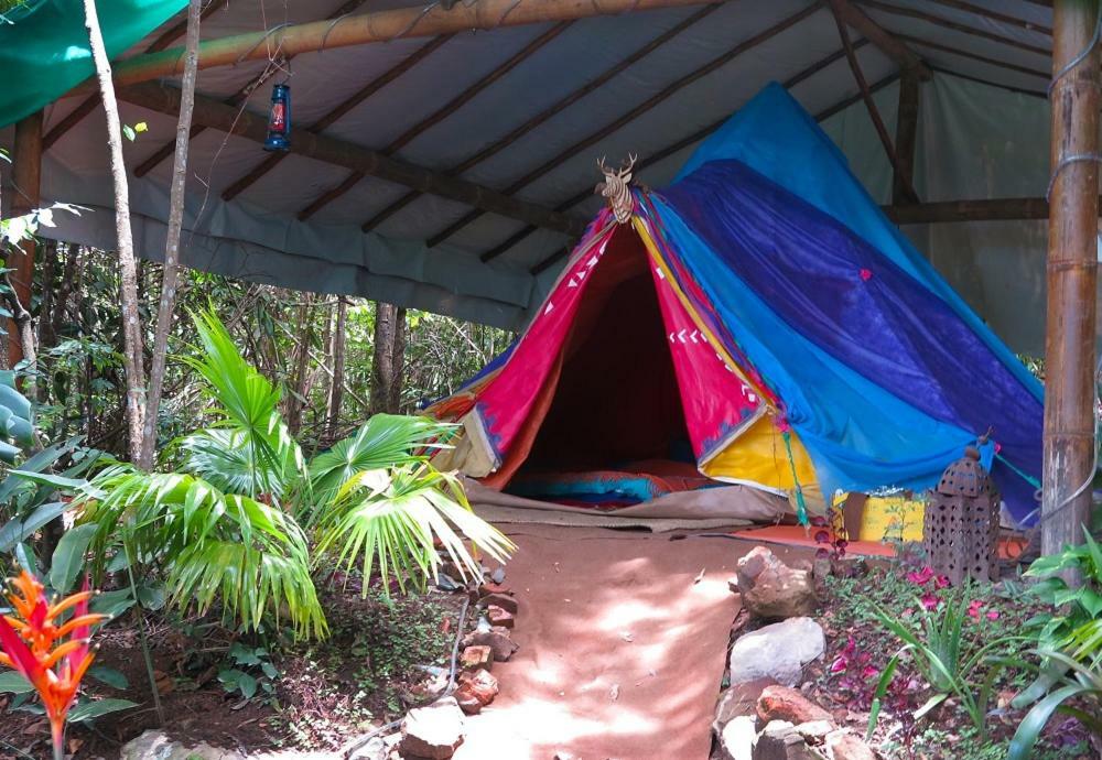 Mariri Jungle Lodge Alto Paraíso de Goiás Dış mekan fotoğraf
