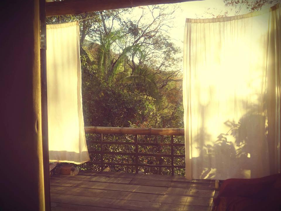 Mariri Jungle Lodge Alto Paraíso de Goiás Dış mekan fotoğraf